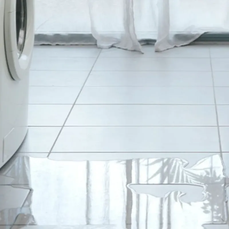 Appliance Leak Cleanup in Prairie City, IA