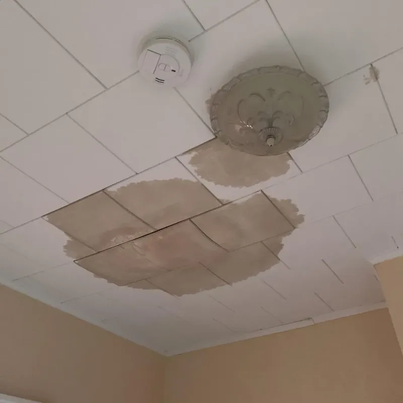 Ceiling Water Damage Repair in Prairie City, IA