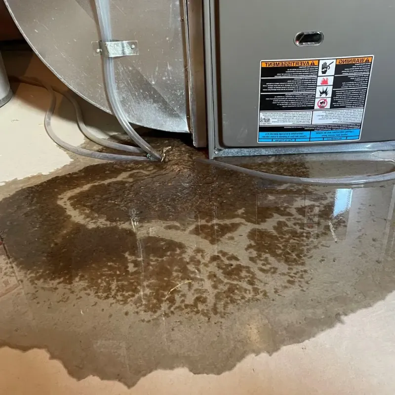 Pipe Burst and Leak Restoration in Prairie City, IA