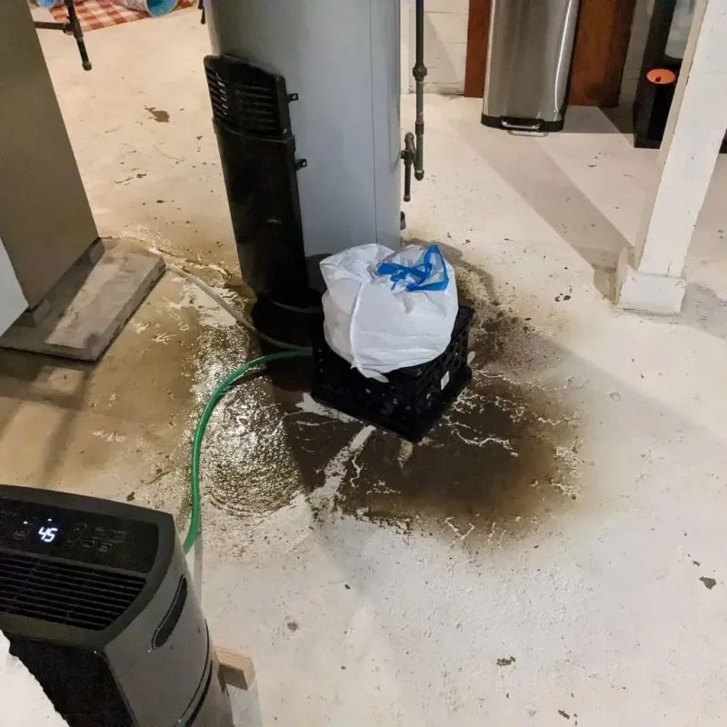 Sewage Backup Cleanup Service in Prairie City, IA